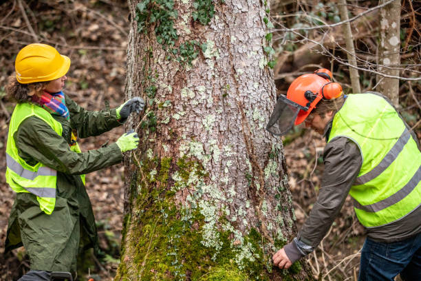 Best Hazardous Tree Removal  in Swainsboro, GA